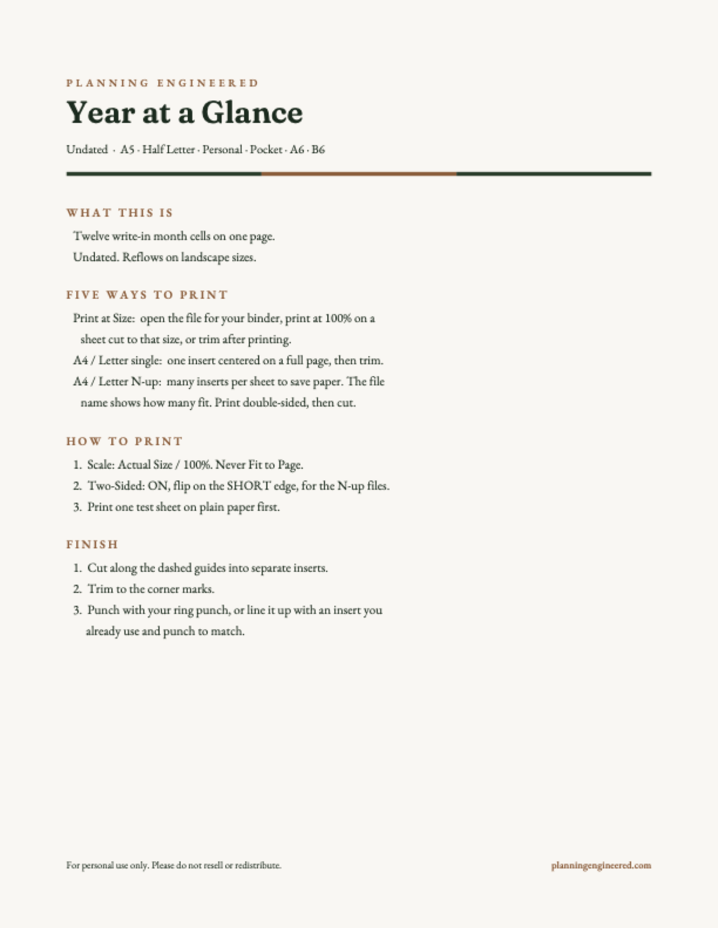 Undated Year at a Glance Planner Insert